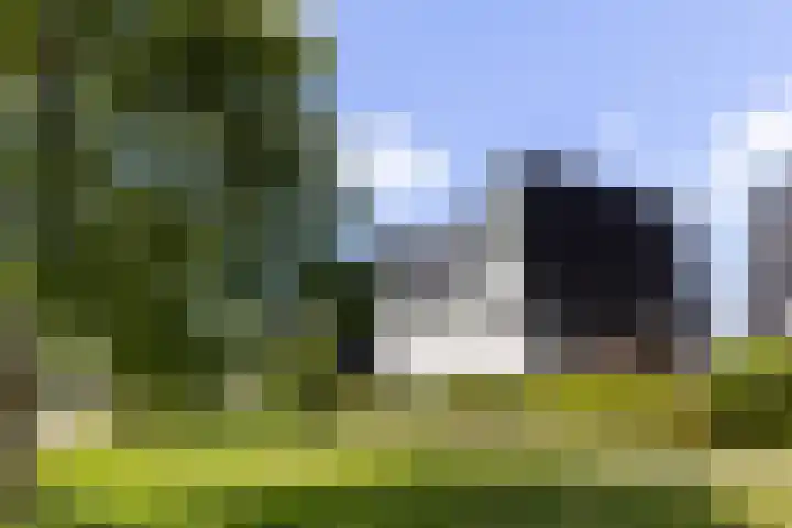 Boomblauwtje 46 Apeldoorn thumbnail 42
