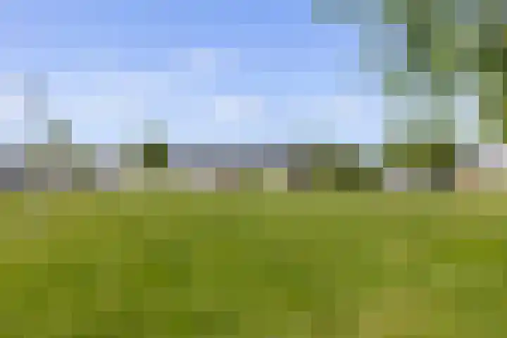Boomblauwtje 46 Apeldoorn thumbnail 44