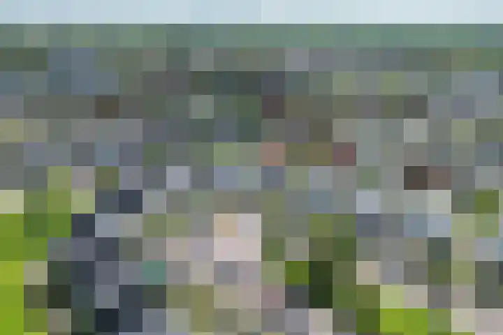 Boomblauwtje 46 Apeldoorn thumbnail 45