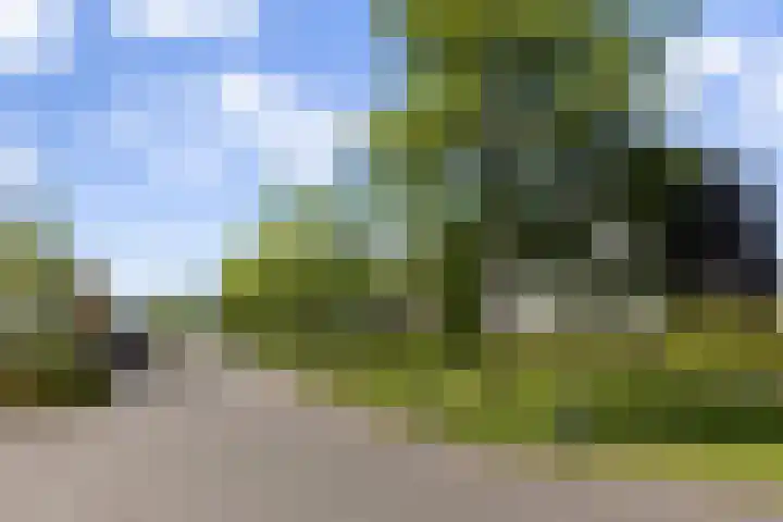 Boomblauwtje 46 Apeldoorn thumbnail 46