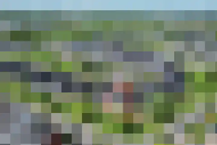 Boomblauwtje 46 Apeldoorn thumbnail 47