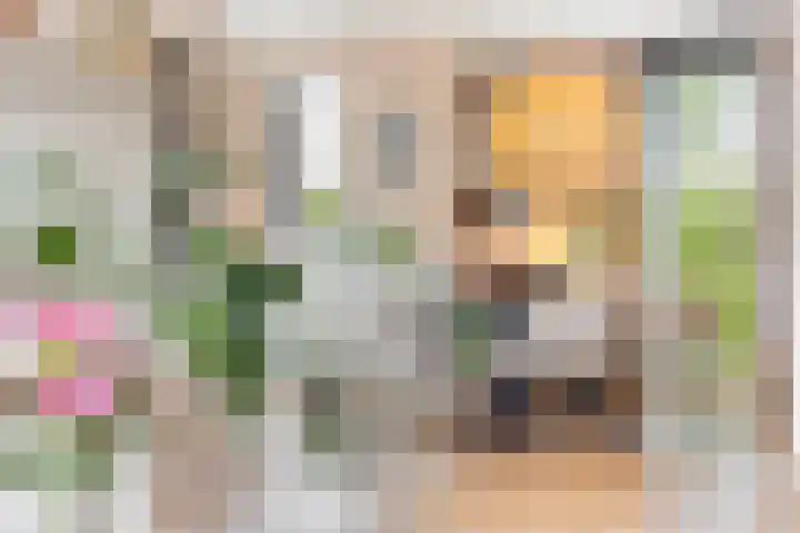 Boomblauwtje 46 Apeldoorn thumbnail 7