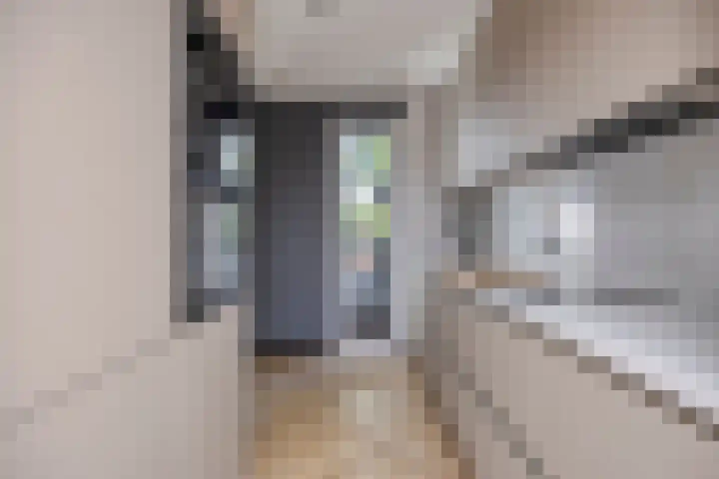 Boomblauwtje 48 Apeldoorn thumbnail 10