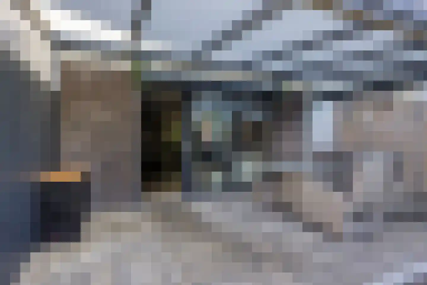 Boomblauwtje 48 Apeldoorn thumbnail 16