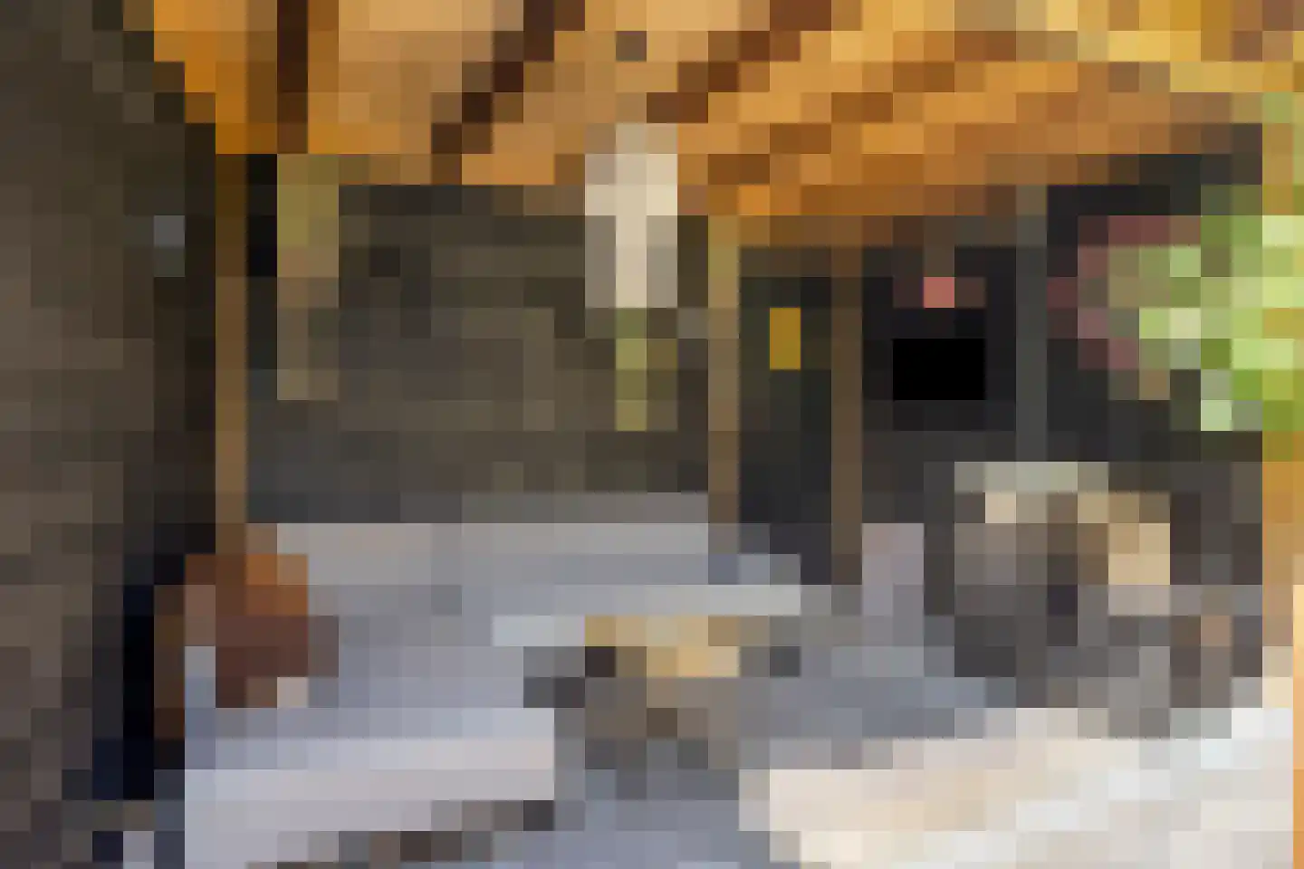 Boomblauwtje 48 Apeldoorn thumbnail 19