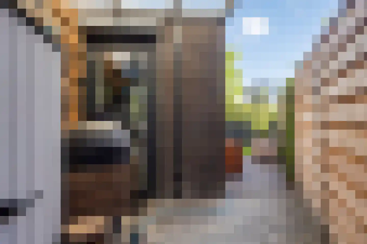 Boomblauwtje 48 Apeldoorn thumbnail 34