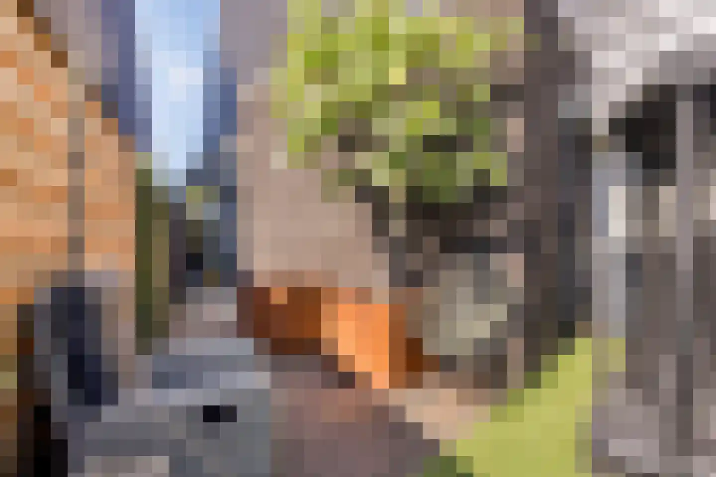 Boomblauwtje 48 Apeldoorn thumbnail 35