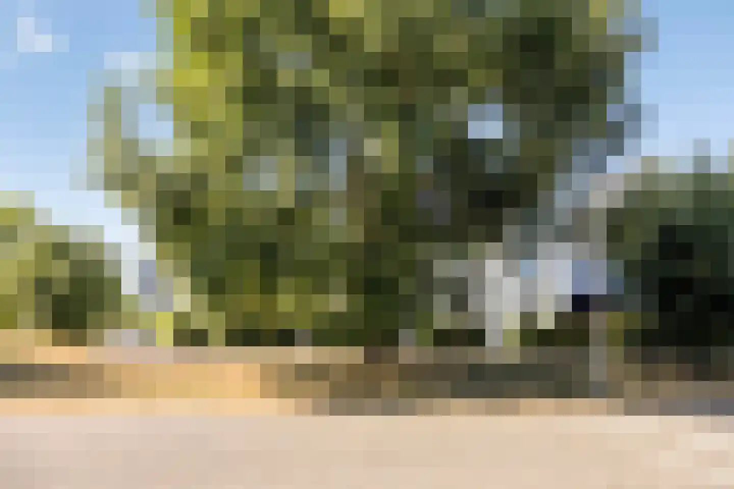 Boomblauwtje 48 Apeldoorn thumbnail 36
