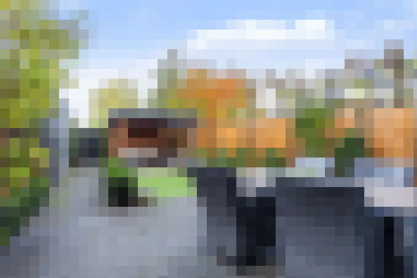 Boomblauwtje 58 Apeldoorn thumbnail 10