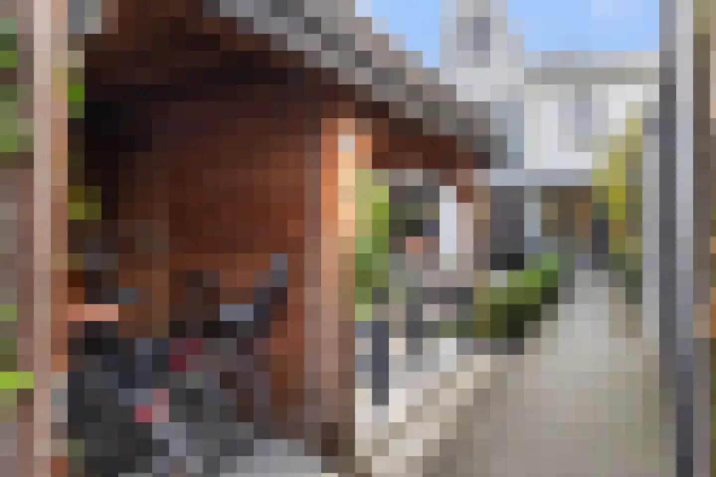 Boomblauwtje 58 Apeldoorn thumbnail 15