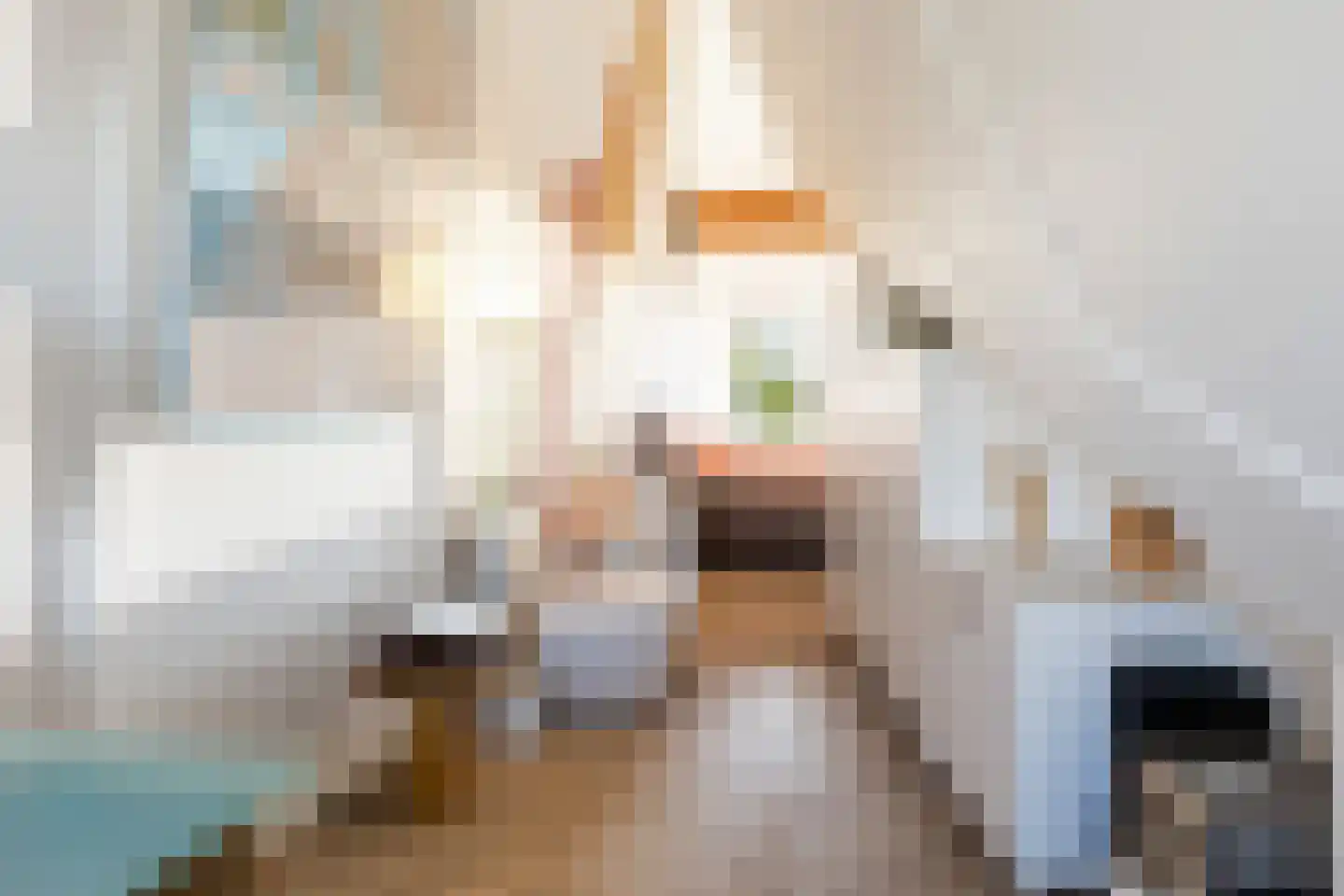 Boomblauwtje 62 Apeldoorn thumbnail 24