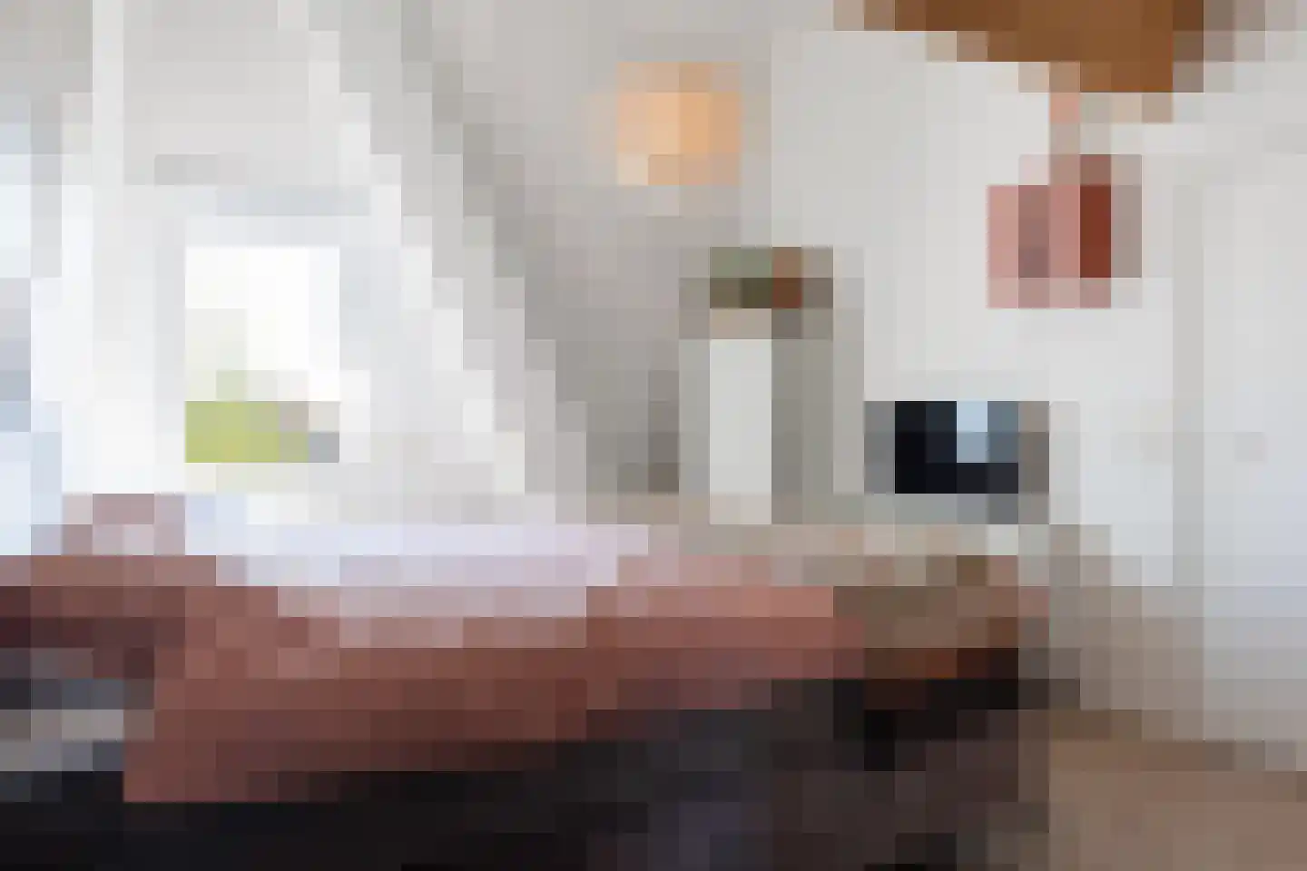 Boomblauwtje 62 Apeldoorn thumbnail 25