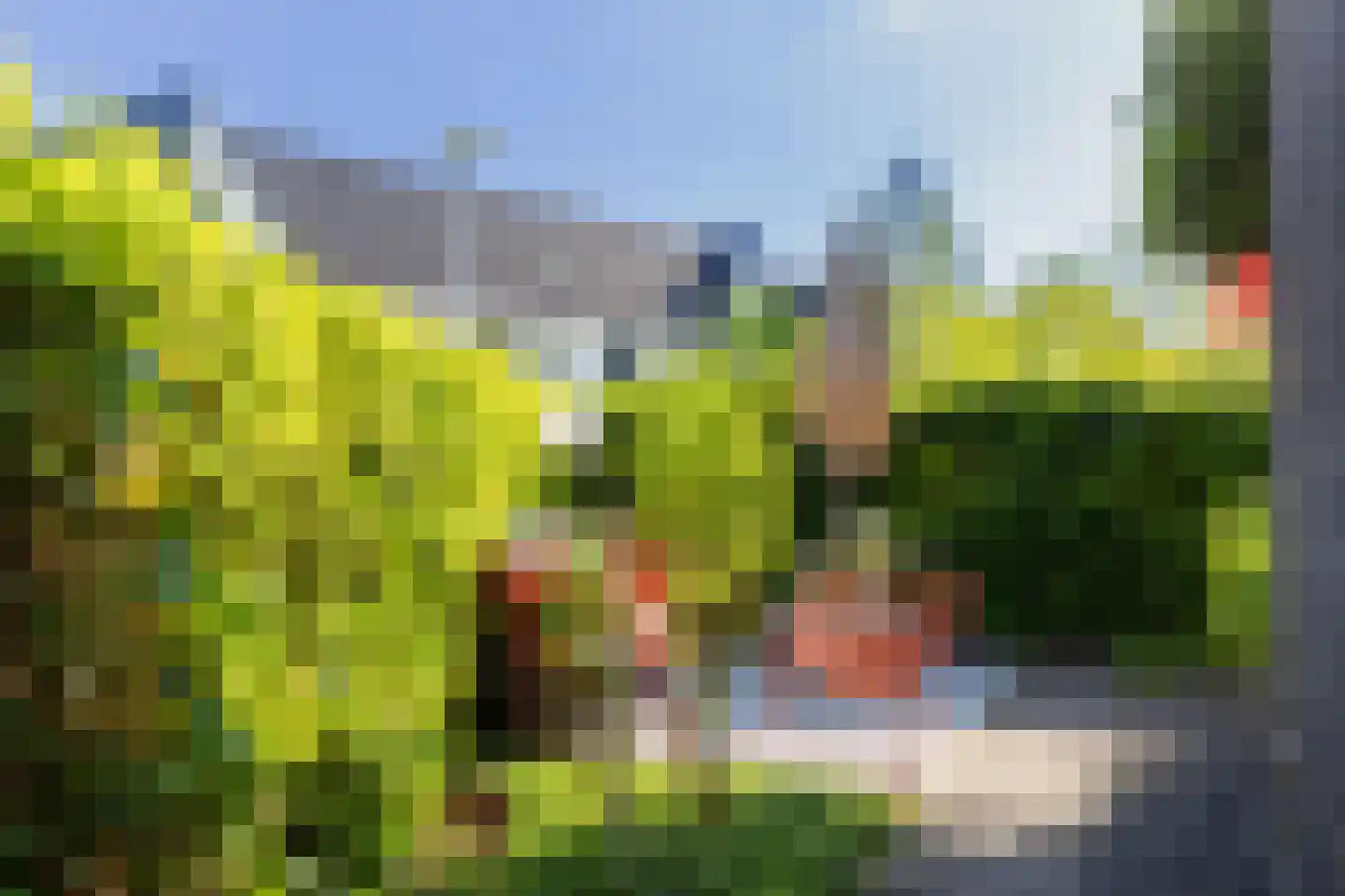 Boomblauwtje 62 Apeldoorn thumbnail 30