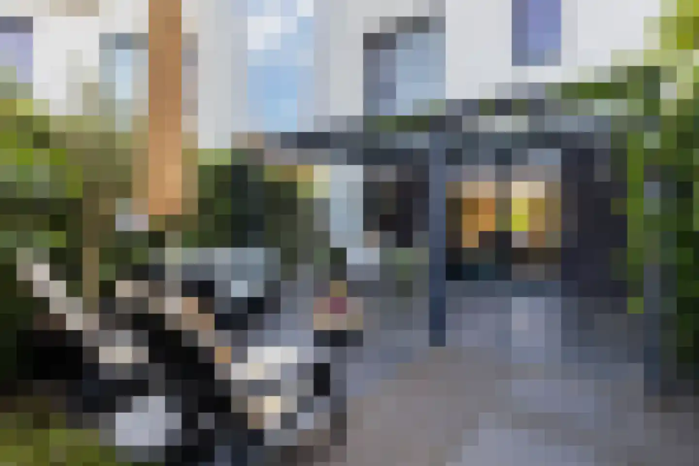 Boomblauwtje 62 Apeldoorn thumbnail 31