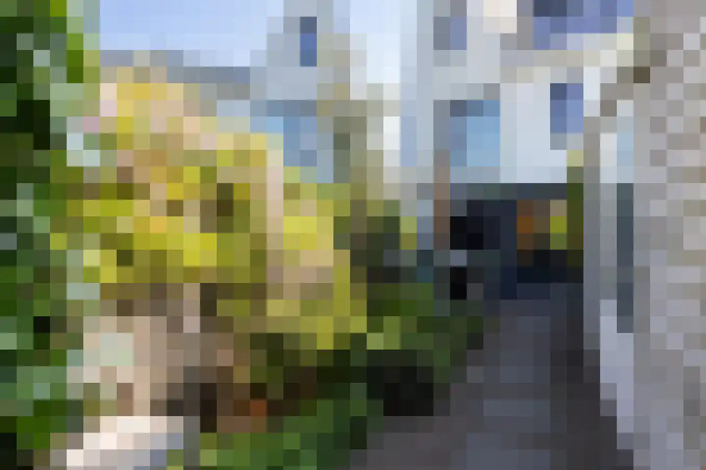 Boomblauwtje 62 Apeldoorn thumbnail 32