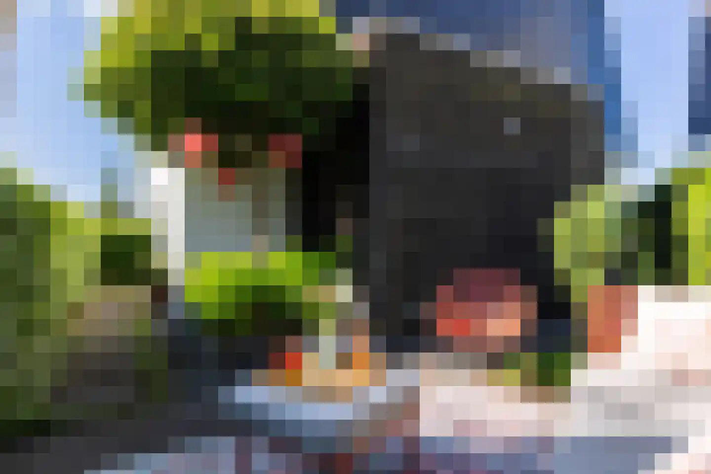 Boomblauwtje 62 Apeldoorn thumbnail 4
