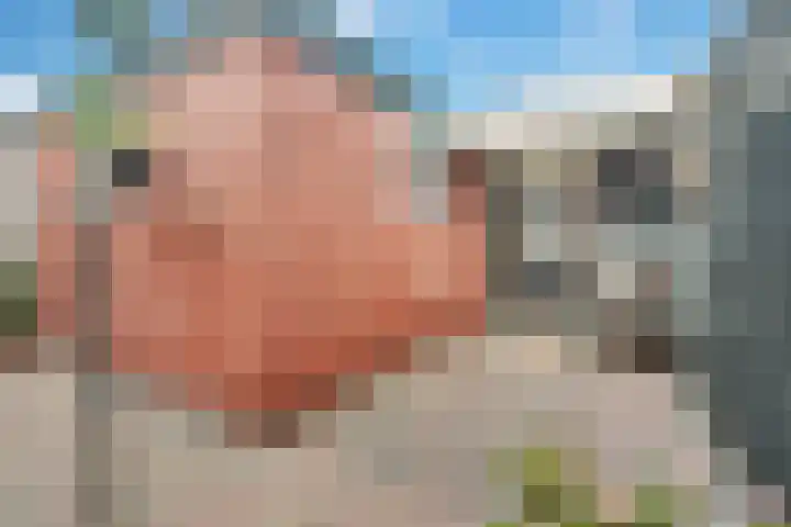 Boomcateweg 64 Nijverdal thumbnail 27