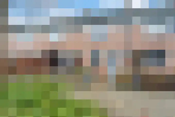 Boomcateweg 66 Nijverdal thumbnail 28
