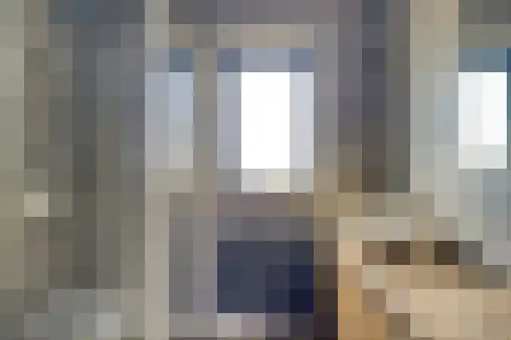 Boomdijk 12 Hansweert thumbnail 10