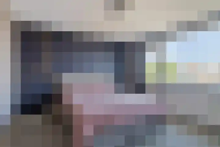 Boomdijk 12 Hansweert thumbnail 13