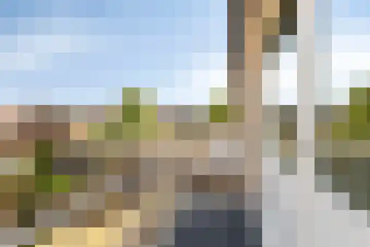 Boomdijk 12 Hansweert thumbnail 14