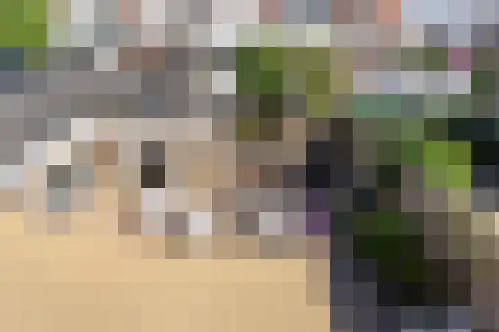Boomdijk 12 Hansweert thumbnail 15