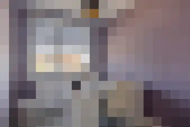Boomdijk 12 Hansweert thumbnail 17