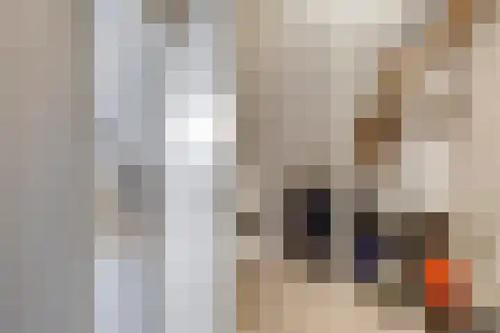 Boomdijk 12 Hansweert thumbnail 18