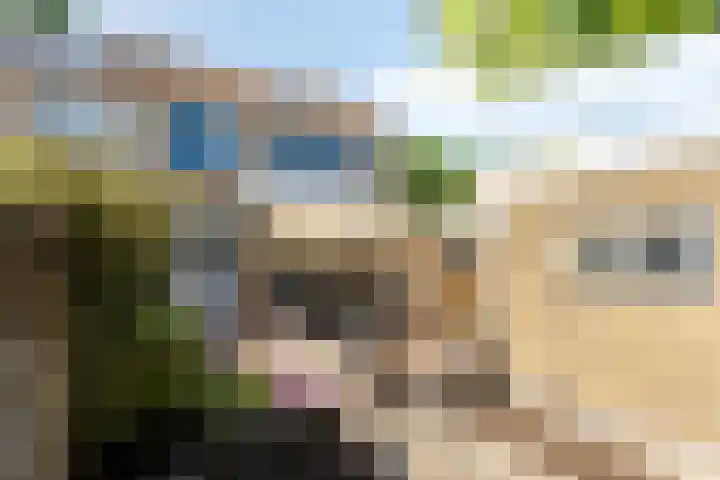 Boomdijk 12 Hansweert thumbnail 20