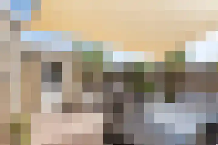 Boomdijk 12 Hansweert thumbnail 21