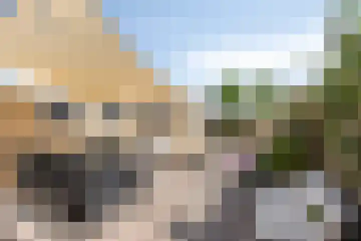 Boomdijk 12 Hansweert thumbnail 22