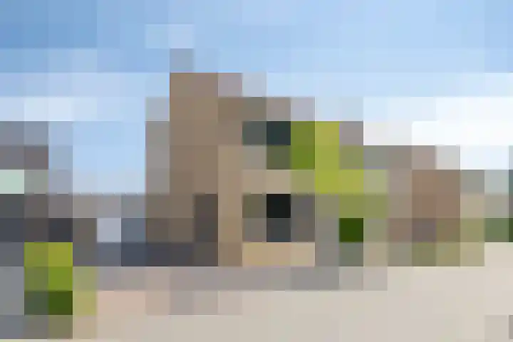 Boomdijk 12 Hansweert thumbnail 23