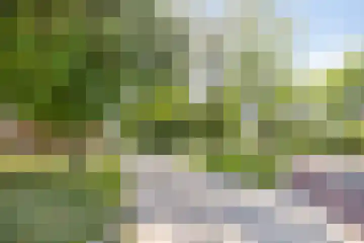 Boomdijk 12 Hansweert thumbnail 24