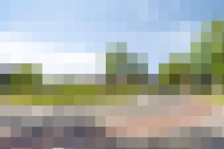 Boomdijk 12 Hansweert thumbnail 25
