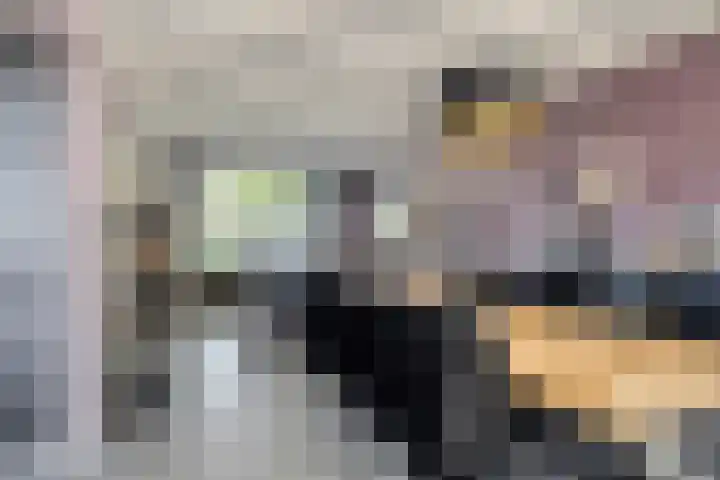 Boomdijk 12 Hansweert thumbnail 4