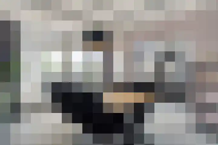 Boomdijk 12 Hansweert thumbnail 5