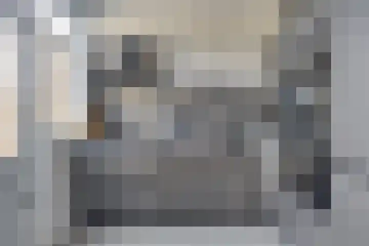 Boomdijk 12 Hansweert thumbnail 6