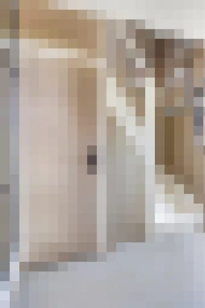 Boomdijk 12 Hansweert thumbnail 8