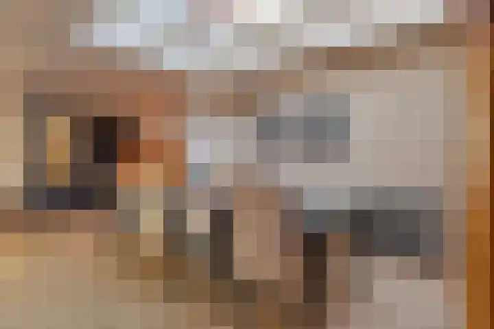 Boomdijk 13 Bruinisse thumbnail 13