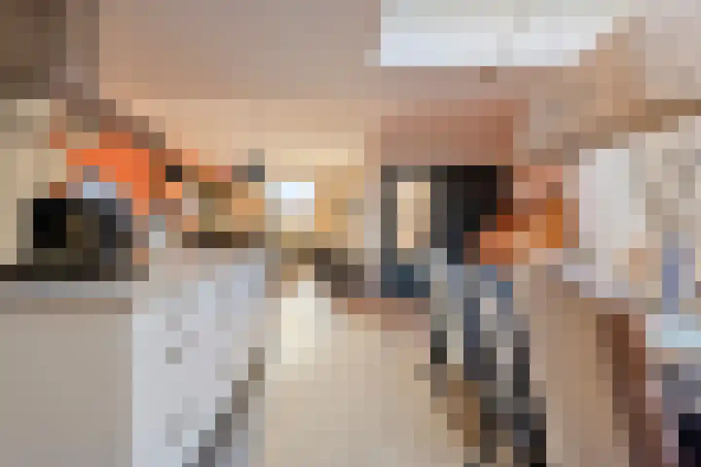 Boomdijk 13 Bruinisse thumbnail 14