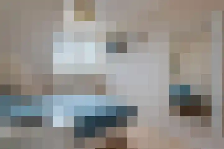Boomdijk 13 Bruinisse thumbnail 15