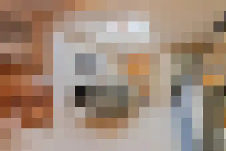 Boomdijk 13 Bruinisse thumbnail 15