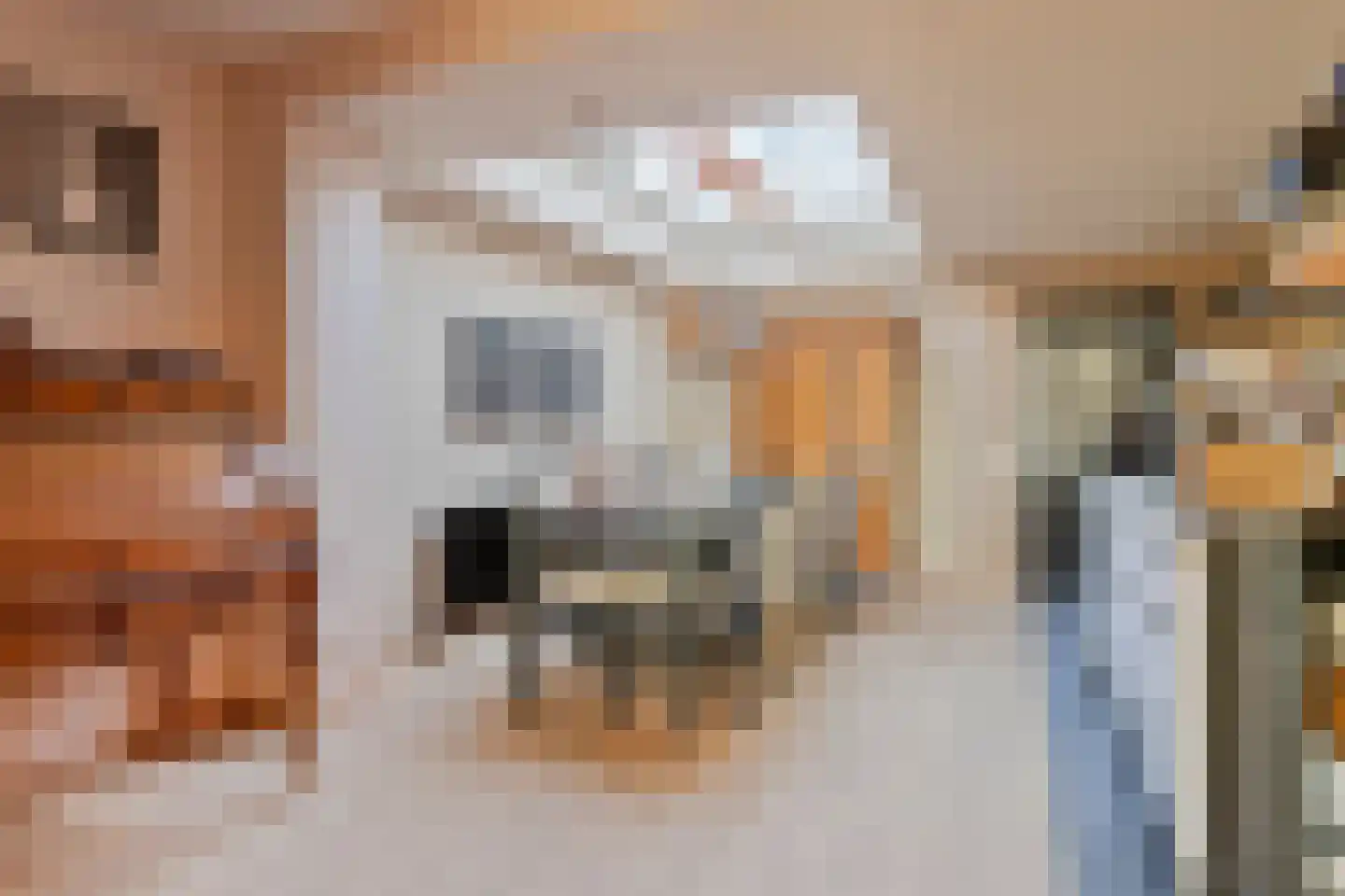 Boomdijk 13 Bruinisse thumbnail 15