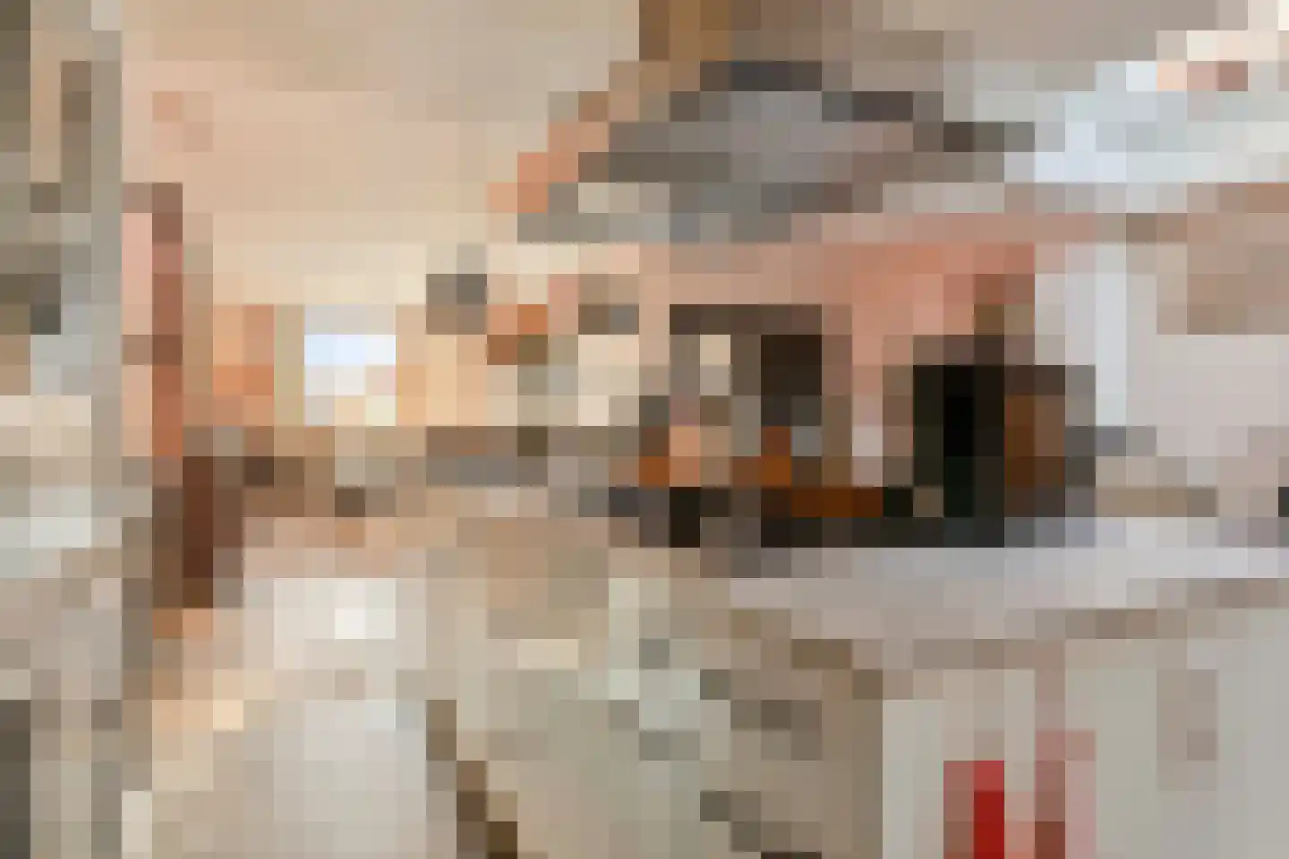 Boomdijk 13 Bruinisse thumbnail 16
