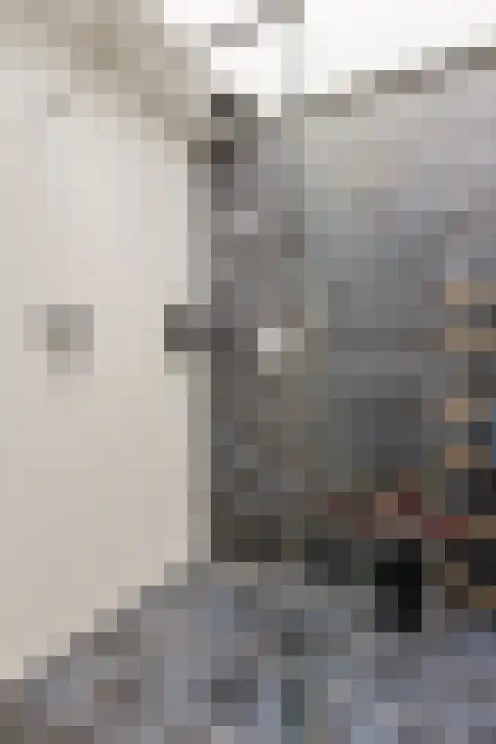 Boomdijk 13 Bruinisse thumbnail 21