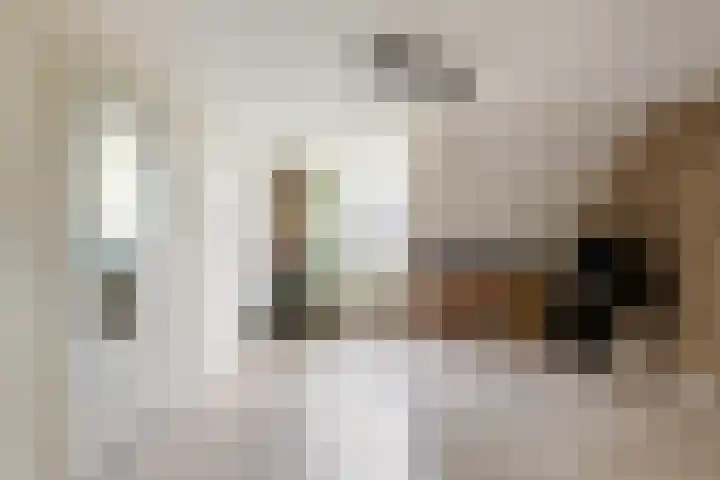 Boomdijk 13 Bruinisse thumbnail 22