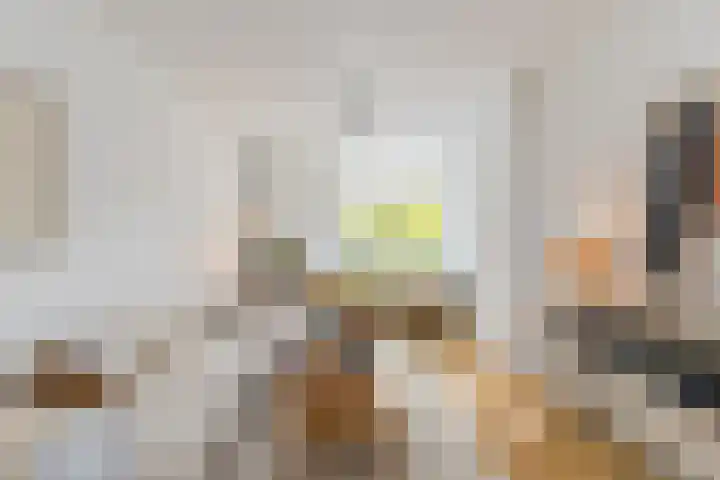 Boomdijk 13 Bruinisse thumbnail 24