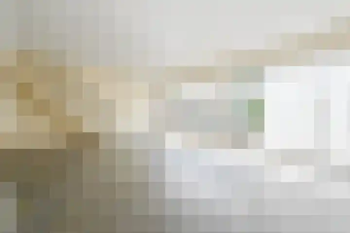 Boomdijk 13 Bruinisse thumbnail 25