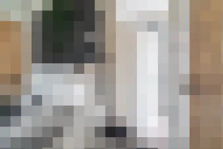 Boomdijk 13 Bruinisse thumbnail 36