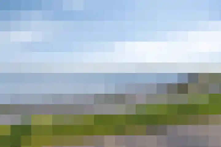 Boomdijk 13 Bruinisse thumbnail 36